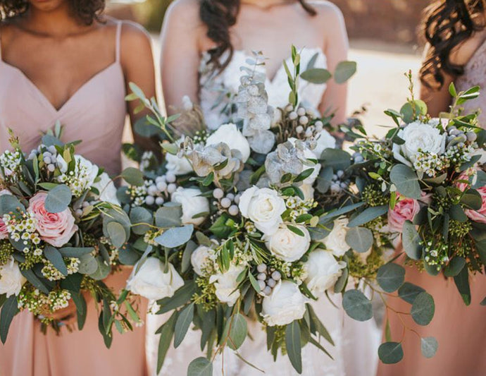 Most Popular Color Tones